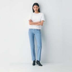 Aritzia Denim Forum Tilda Lo-Rise Straight Jeans